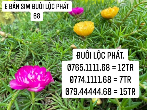 sim lộc phát 68 