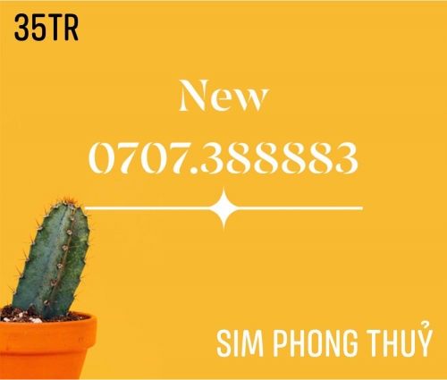 sim thần tài số vip 0707