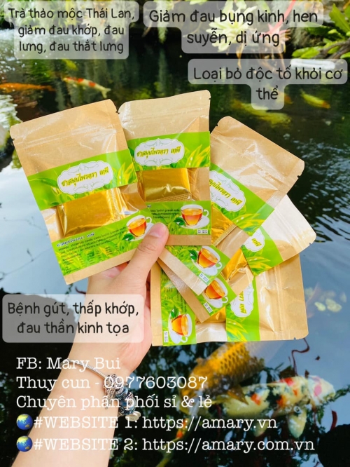 Trà thảo mộc Tea Tepee giảm đau nhức xương khớp